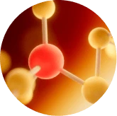 Biotin — VitaLock